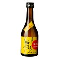 【新発売】sanQ300