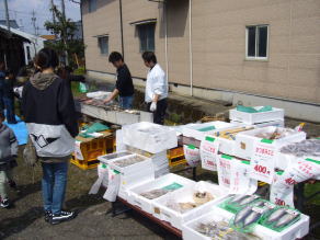 蔵開き　新鮮お魚販売