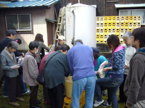 蔵開き　酒粕詰め放題