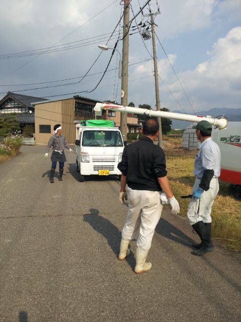 自社田山田錦85　稲刈り