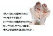 画像3: フェイスマスク（1枚入り） (3)